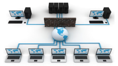 diagram showing what is a shared web hosting service on a single server